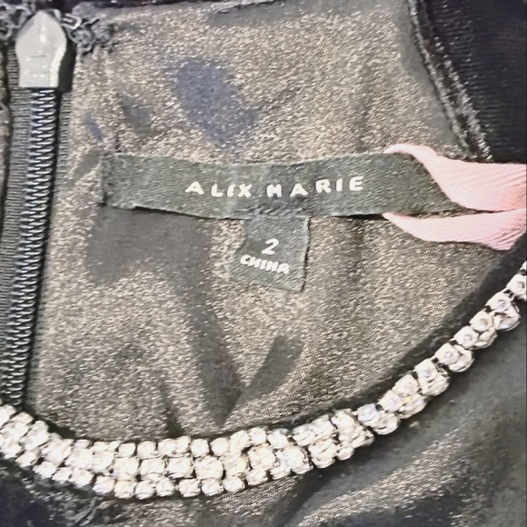 Beautiful Alex Marie Midnight Fantasy Dress - Picture 5 of 8